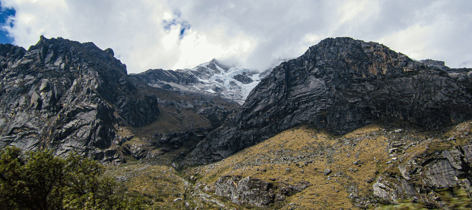 Articulo de Reforestación para Mitigar el Cambio Climático y Garantizar la Seguridad Hídrica